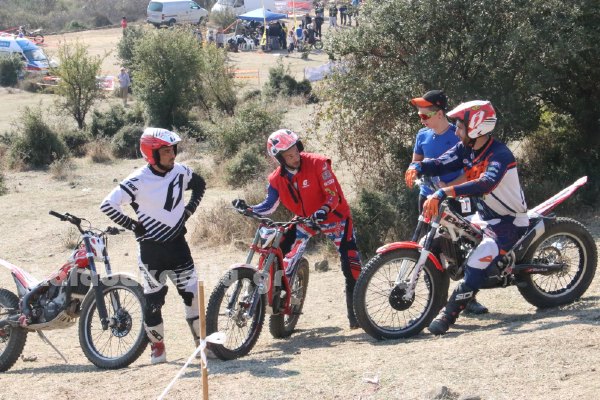 trial rizoma IMG 2533