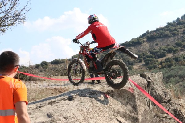 trial rizoma IMG 2543