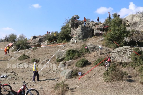 trial rizoma IMG 2566