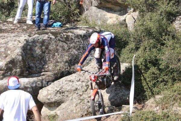 trial rizoma IMG 2575