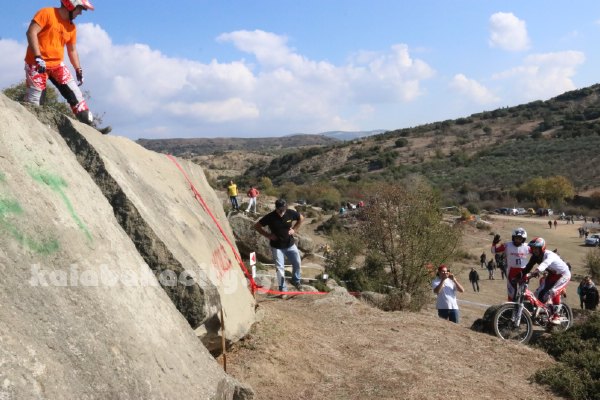 trial rizoma IMG 2608