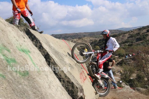 trial rizoma IMG 2609