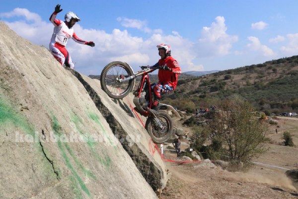 trial rizoma IMG 2628