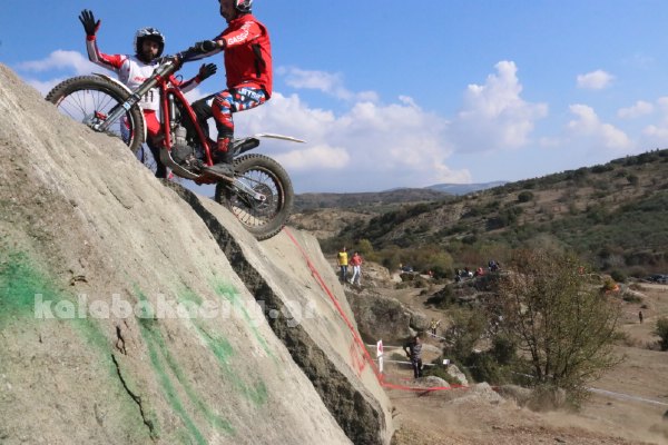 trial rizoma IMG 2630