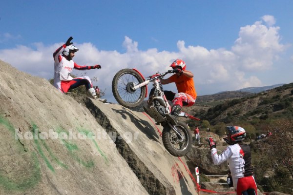 trial rizoma IMG 2633