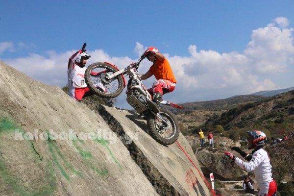 trial rizoma IMG 2634