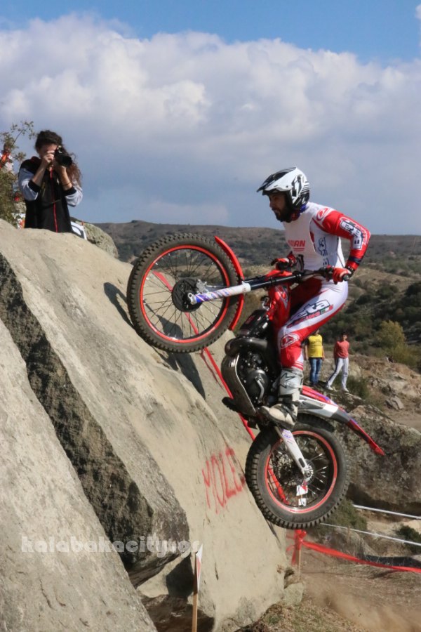 trial rizoma IMG 2644