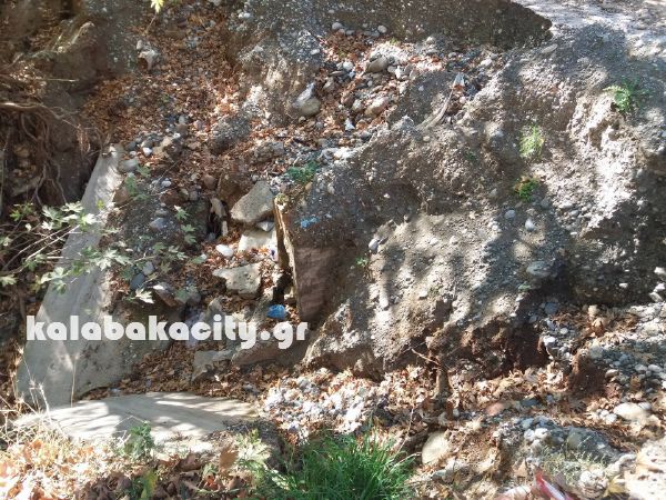 agiofyllo sos 24282014 1378124212316696 297869060 o