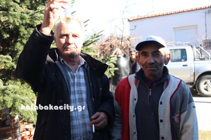 agiofyllo tsigarides 17IMG 8408