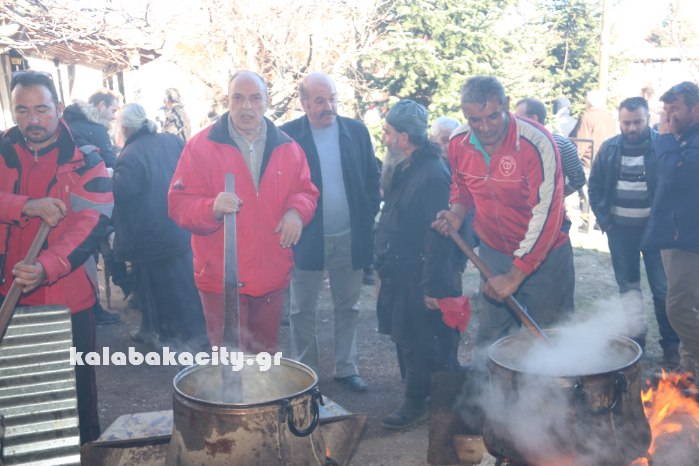 agiofyllo tsigarides 17IMG 8409