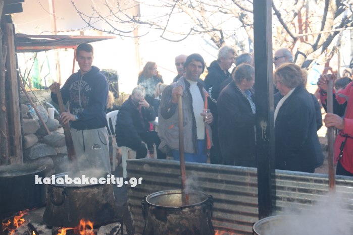 agiofyllo tsigarides 17IMG 8411