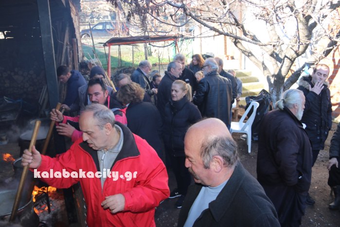 agiofyllo tsigarides 17IMG 8422