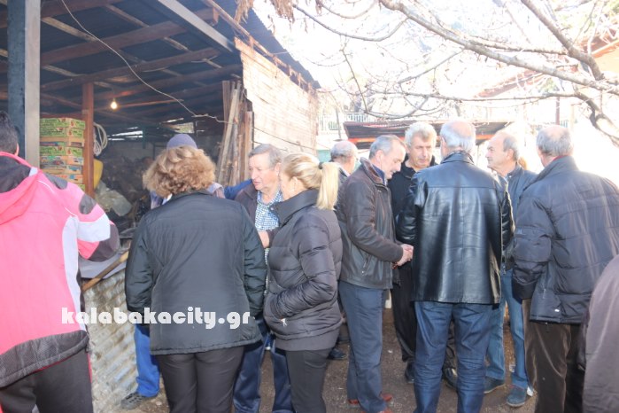 agiofyllo tsigarides 17IMG 8427