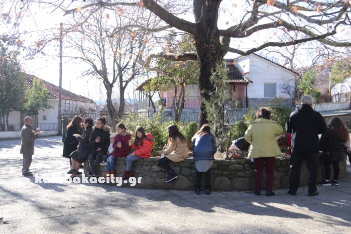 agiofyllo tsigarides 17IMG 8459