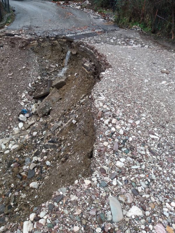 glykomilia 2017 x26178575 887337904759302 1166646259 o