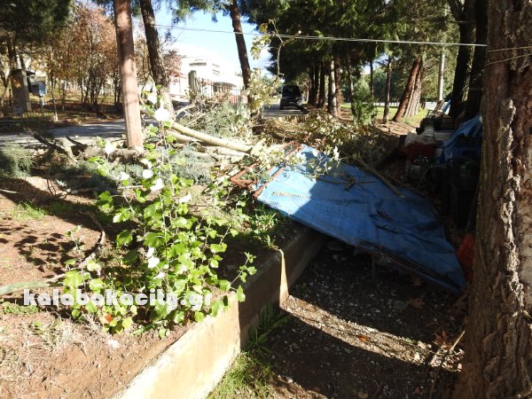 kladi kentro ygeiasDSCN6898