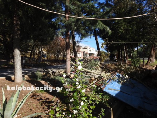 kladi kentro ygeiasDSCN6899