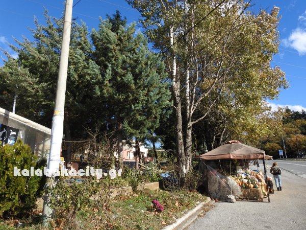 kladi kentro ygeiasDSCN6902