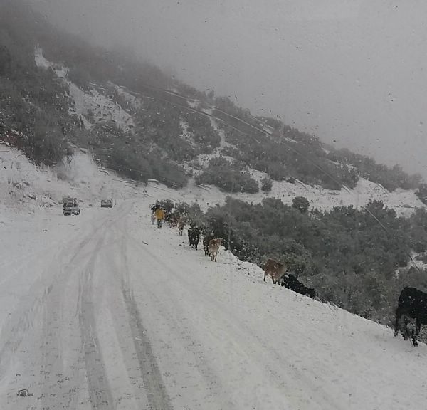 klinovos 125635226 822355664604073 232336498 o