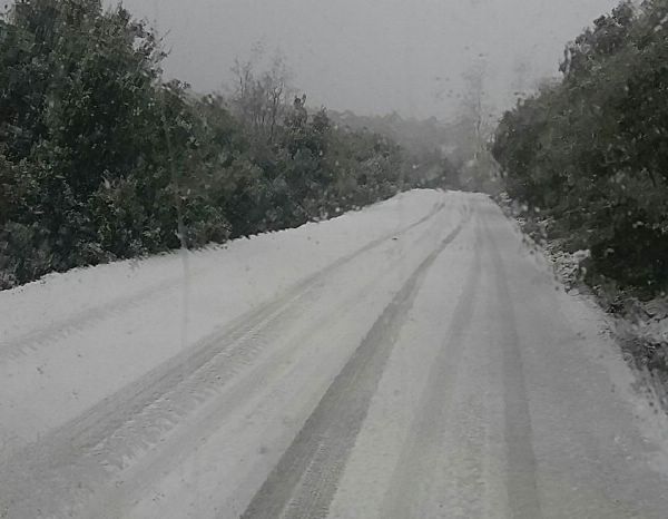 klinovos 125673234 822355701270736 1650629282 o