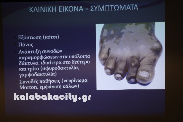 oikonomidis IMG 6219