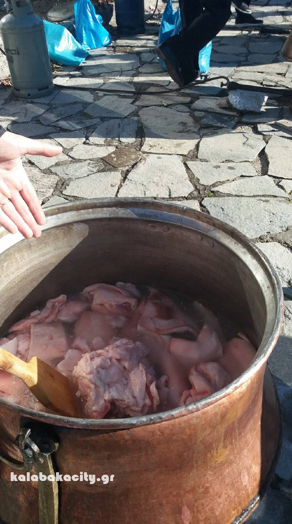 trikokia 126108032 1968507716522644 1791445049 o