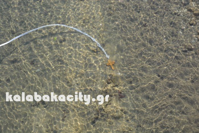 theofania 18DSC 0112