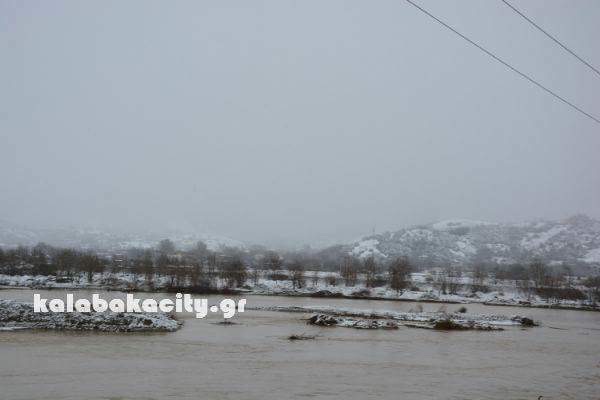 01273C46-7C98-466C-B17B-805869A7818E