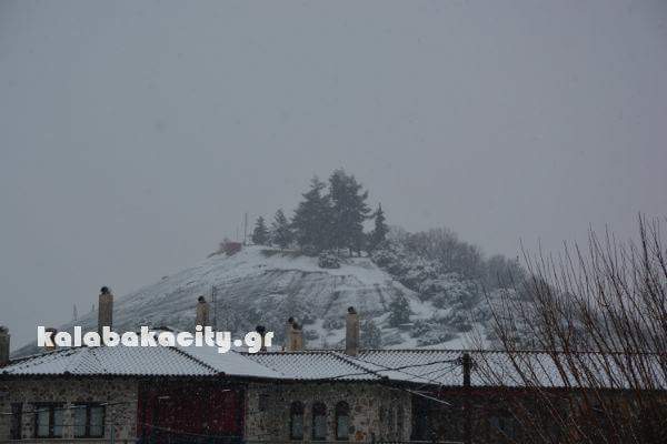 36695E5F-9623-44AD-99B6-D3C2A791864E