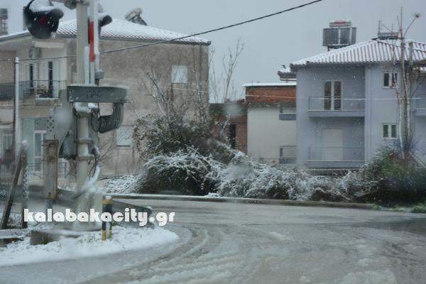 629D6636-7451-418A-98BC-7FC18E43A948