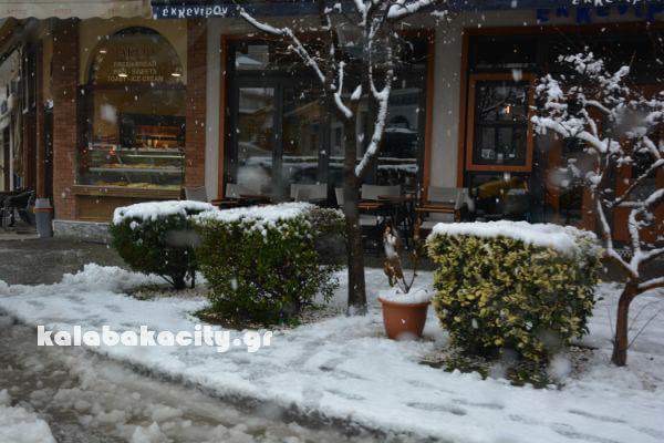 7DEF55E6-1DA5-493F-A4E5-6DF3FE4A2989