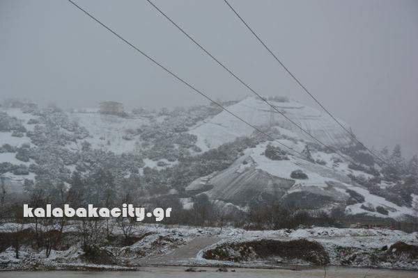 D43C52AB-E725-4819-A325-FB210A538B8C