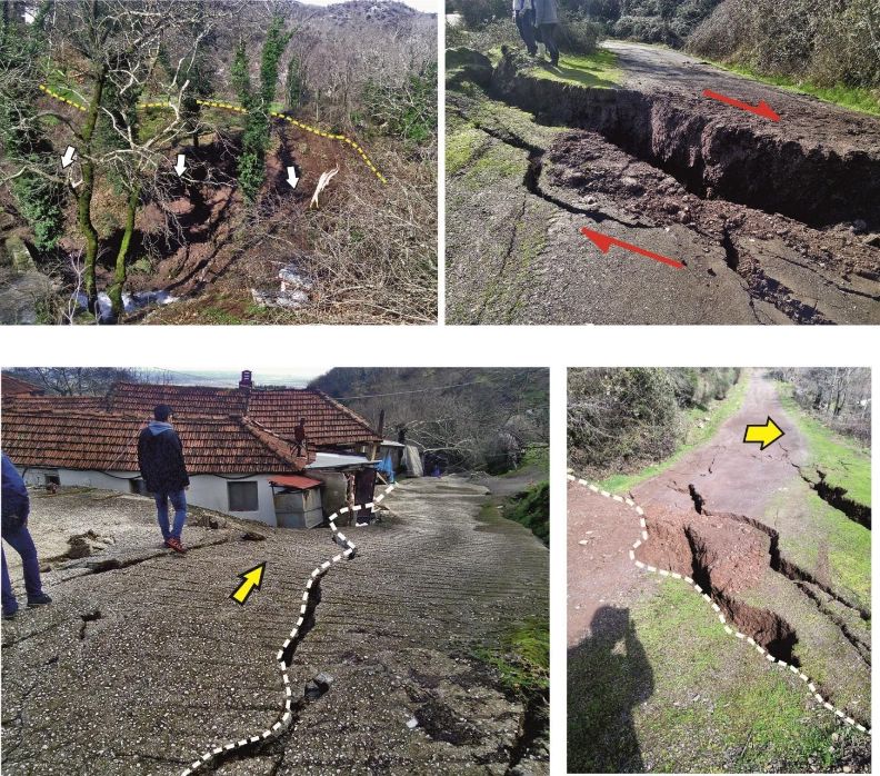 kolitsas pialiaScreen