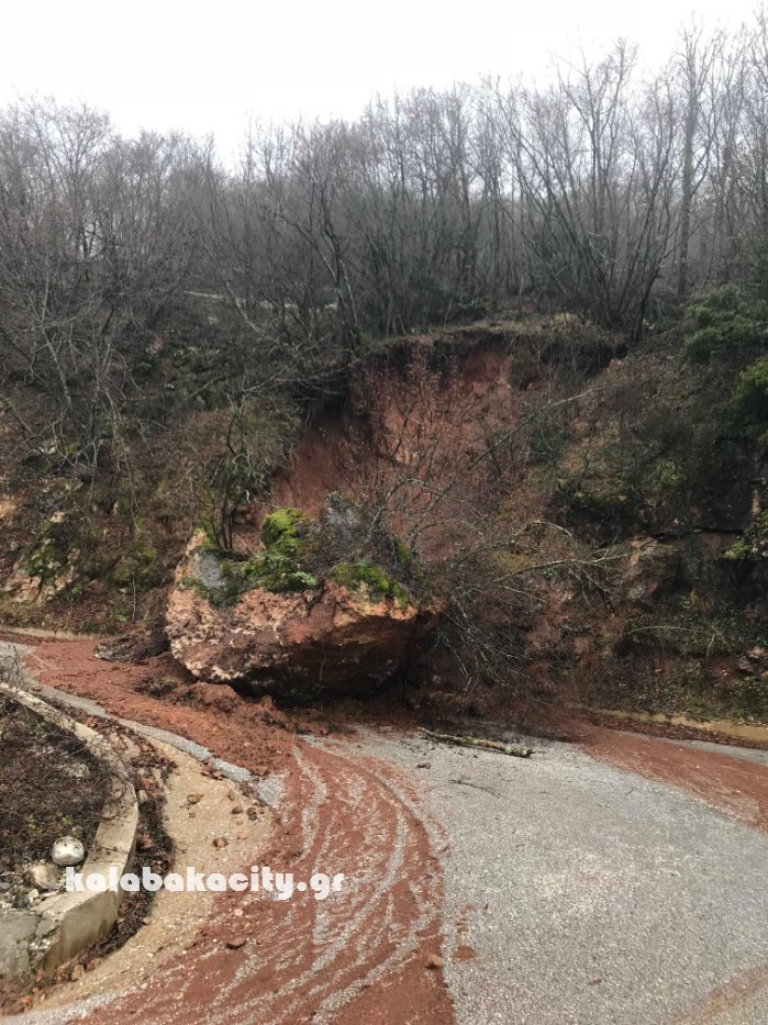 petra korom 28554680 1669963669709592 1968103580 o