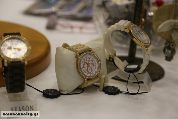 meteor gift house IMG 2992