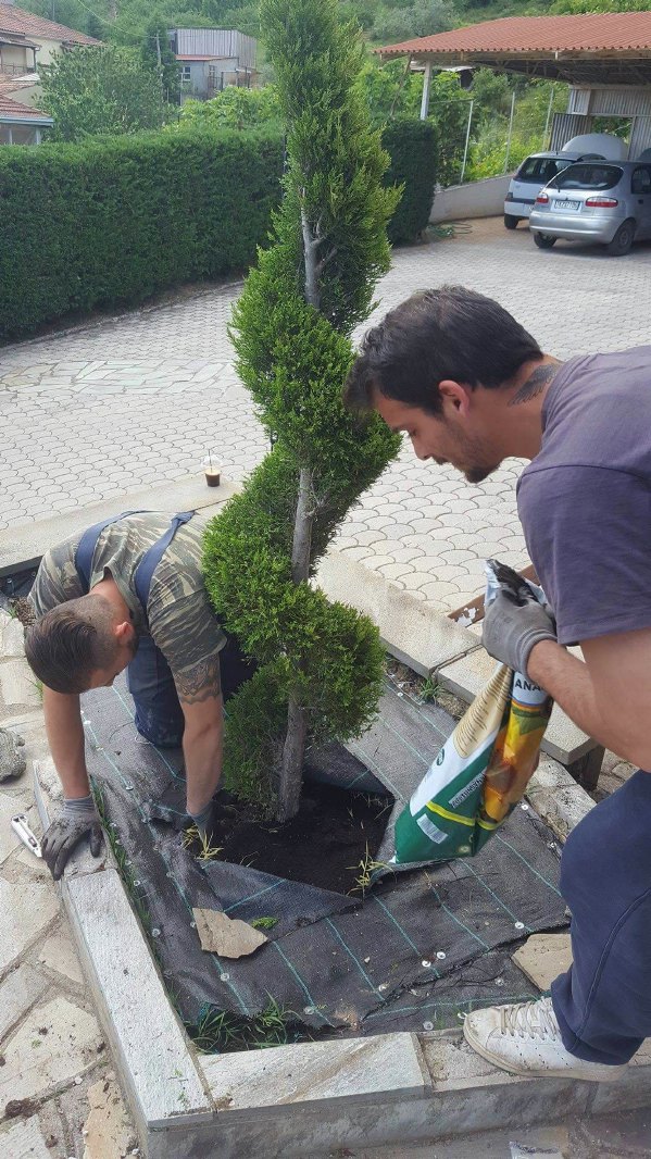 gatsas g 30825818 2159984954225446 2035403312 o