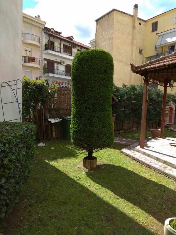 gatsas g 30825843 2159984790892129 1351872028 o