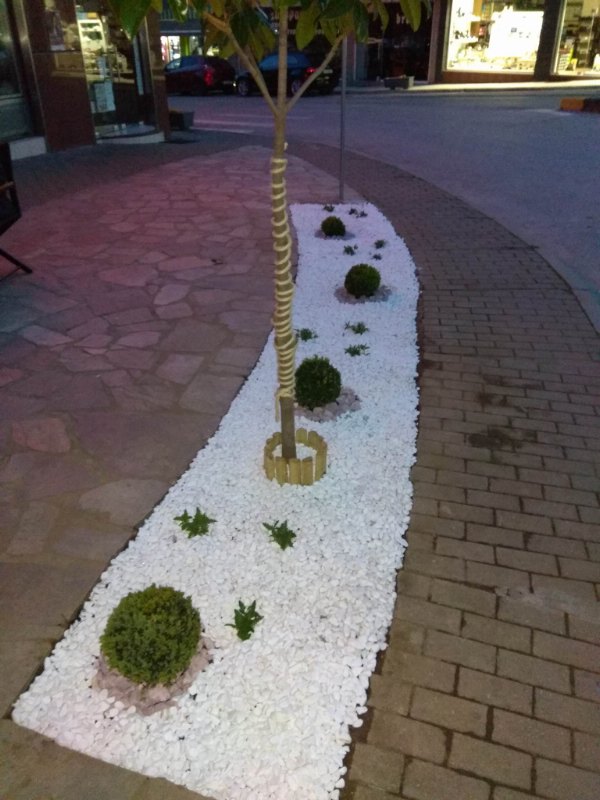 gatsas g 30825886 2159984834225458 614831178 o