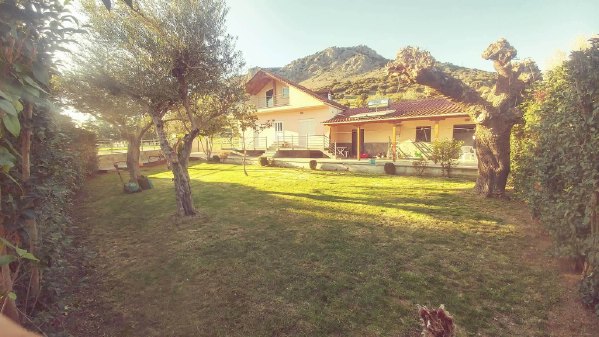 gatsas g 30922433 2159984870892121 319240597 o