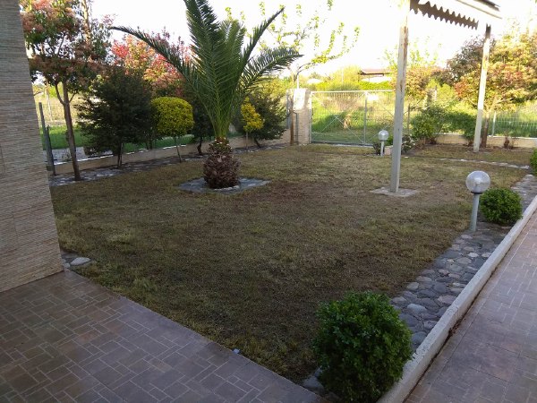 gatsas g 30957186 2159984614225480 1480537028 o