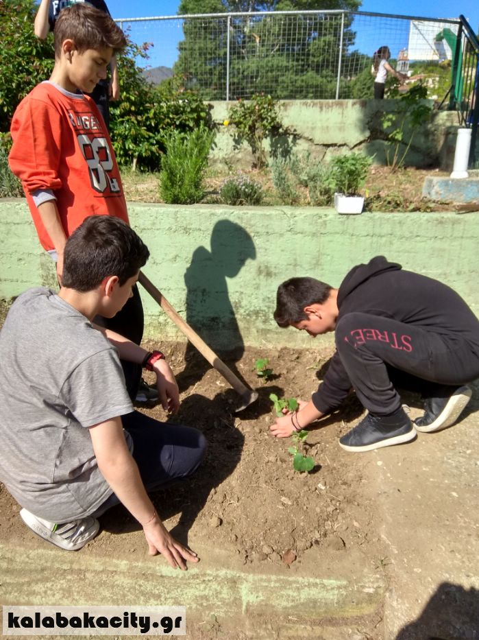 gymn oxyneias lets do itiIMG 20180426 102404 HDR