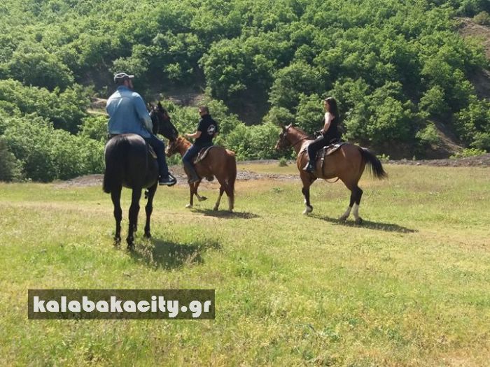 ippiki synantisi 30742784 1880074825357995 4388017689453395968 n