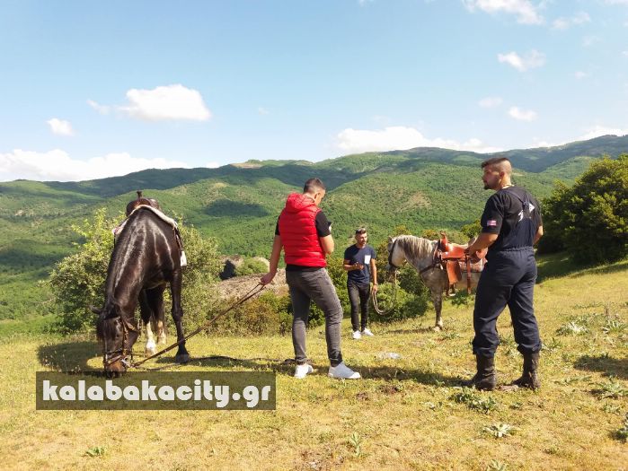 ippiki synantisi 30762548 1880077288691082 1282542341994840064 n