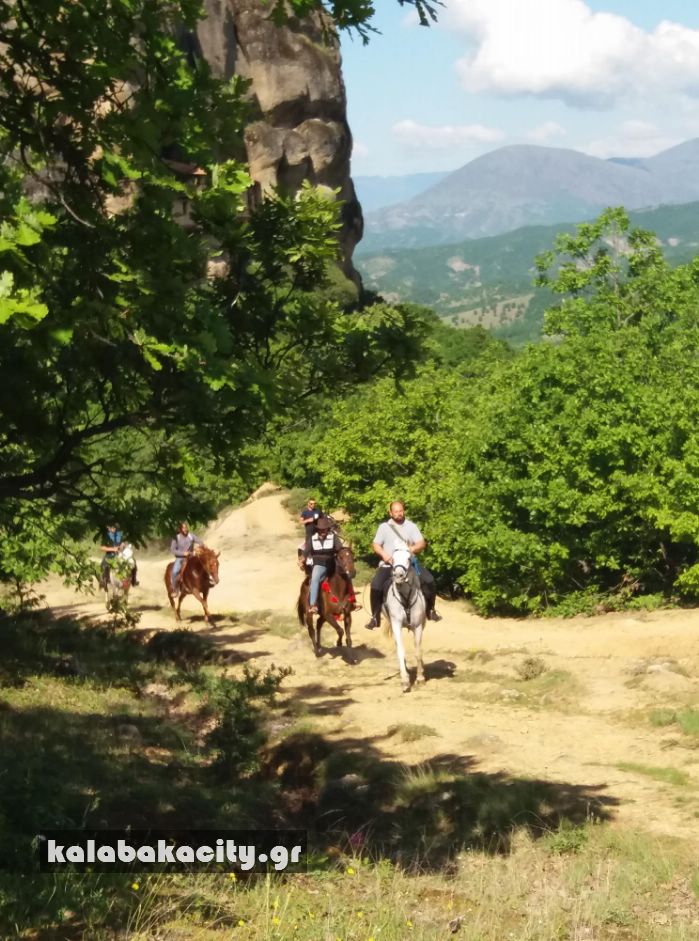 ippiki synantisi 31048306 1880078115357666 1914574207262392320 n