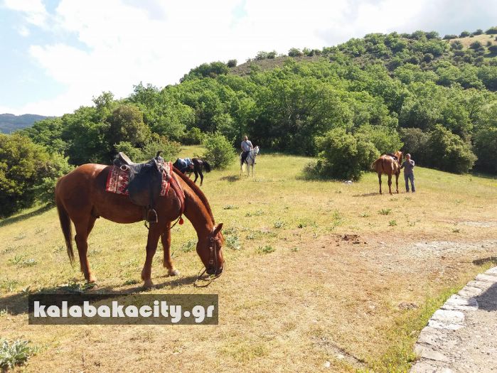 ippiki synantisi 31091920 1880077942024350 3622255334455771136 n