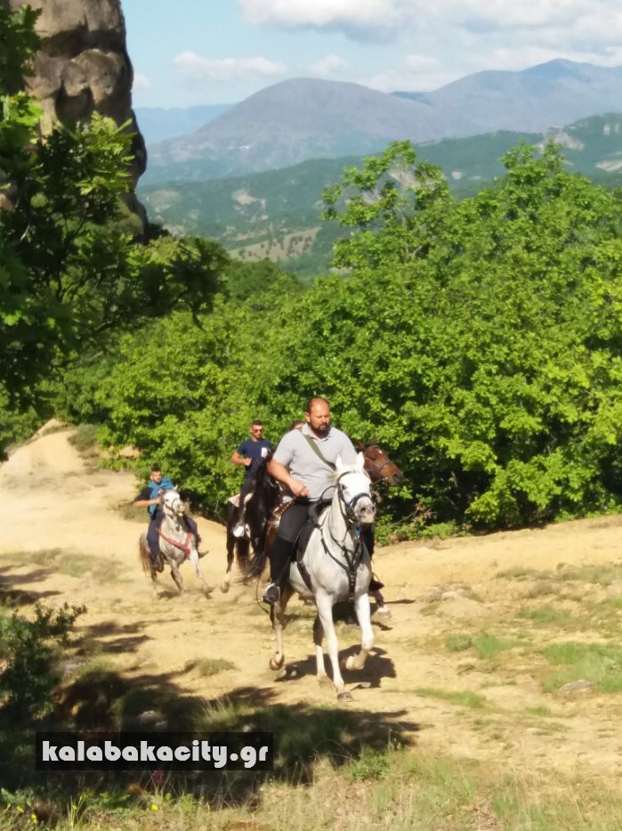 ippiki synantisi 31092064 1880079502024194 2315060374103130112 n