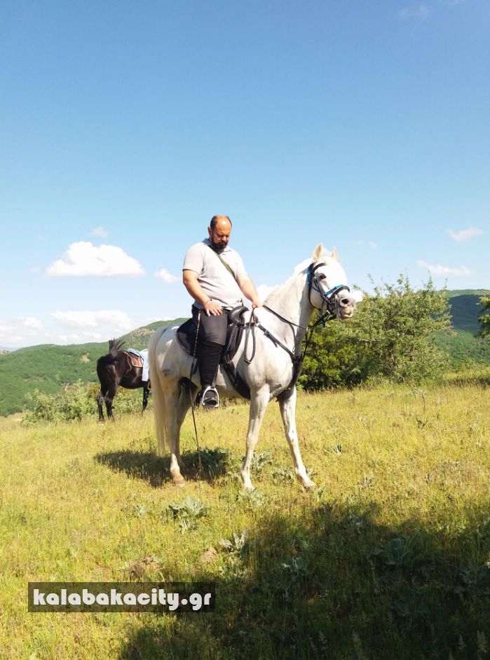 ippiki synantisi 31120696 1880078022024342 794908393910304768 n