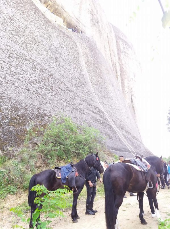 ippis received 1882194051812739