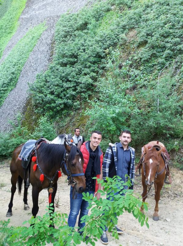 ippis received 1882194745146003