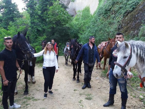 ippis received 1882198788478932